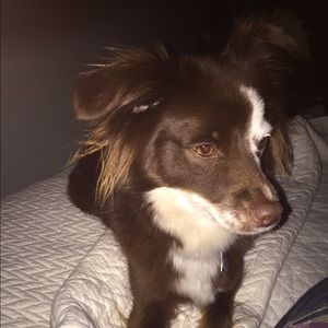 Meet your Posher, Matt